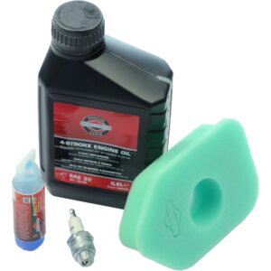 Briggs & Stratton TUNE-UP KIT CLASSIC/SP Motor Wartungskit