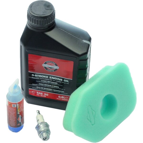 Briggs & Stratton TUNE-UP KIT CLASSIC/SP Motor Wartungskit