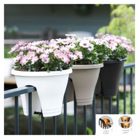 Zweier Blumentopf