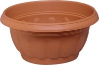 Pflanzschale 25cm terr.