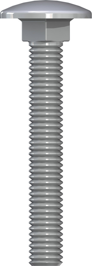 Schlossschraube RN 603 , Halbrundkopf, M 10 x 100 mm, Vollgewinde, Edelstahl A2, gebeizt, passiviert