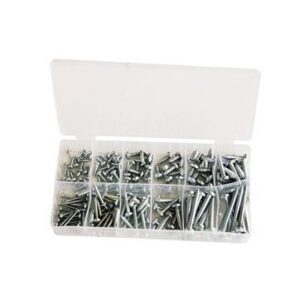 Blechschrauben Sort. 170tlg